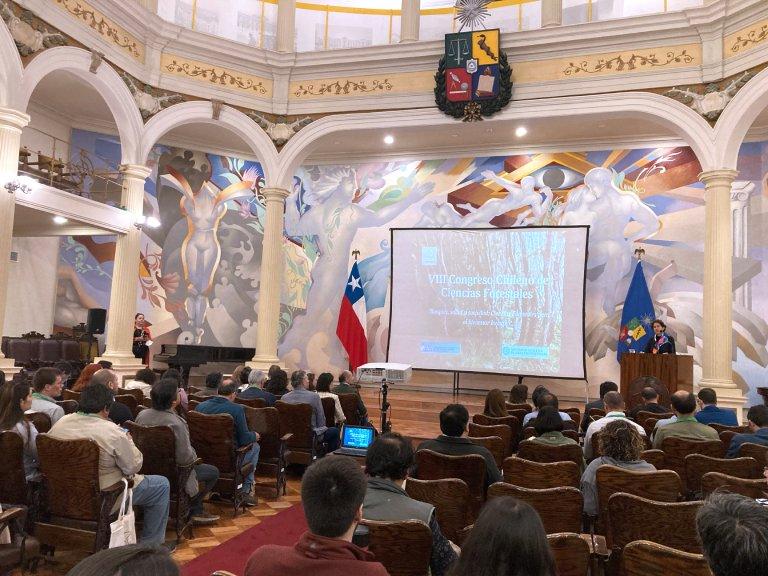 La Ministra del Medio Ambiente, Maisa Roja, durante la ceremonia inaugural del VIII Congreso Chileno de Ciencias Forestales en el Salón de Honor de la Casa Central de la Universidad de Chile. Imagen: Alejandra Fuenzalida. 