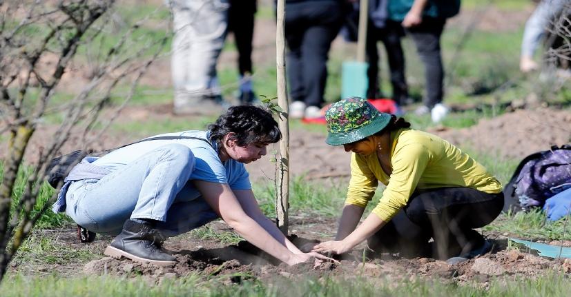 La FCFCN participó de plantación masiva de árboles nativos en el Parque Carén