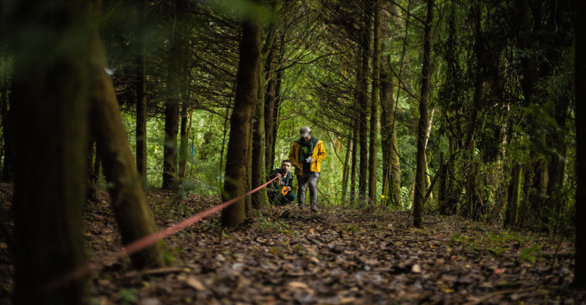 Especialista explica cómo un satélite va a estudiar los bosques del sur