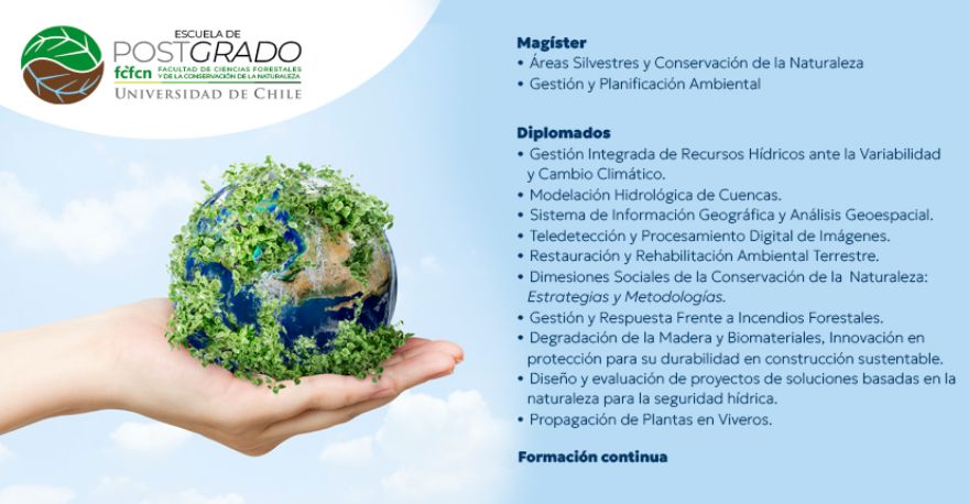 Conoce nuestros Diplomados y Magíster