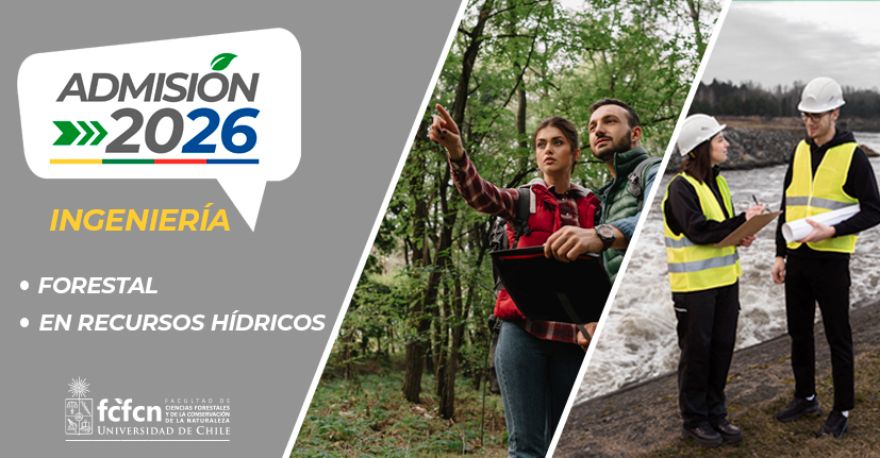 ¡Descubre Ingeniería Forestal e Ingeniería en Recursos Hídricos!