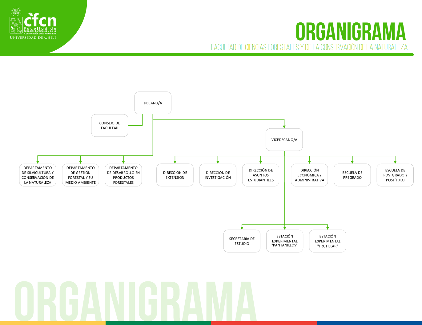 Organigrama de la Facultad