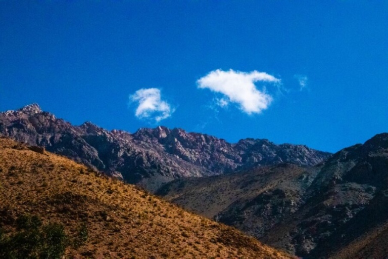 La profesora Claudia Cerda explica la importancia de los Servicios Ecosistémicos.
