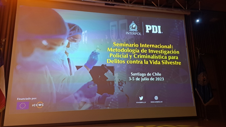 El Seminario Internacional organizado por la PDI en colaboración con Interpol de Francia.