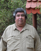 El académico Iván Grez.