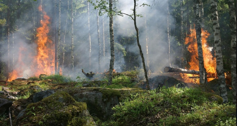 Académico explica el famoso “Factor 30-30-30” que favorece la propagación de incendios forestales