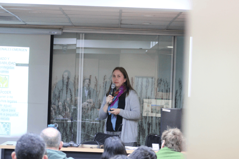 La Directora de la Escuela de Postgrado y Postítulo, Prof. Claudia Cerda expuso a las y los asistentes sobre los resultados generales de su proyecto Fondecyt en la comuna del Huasco.