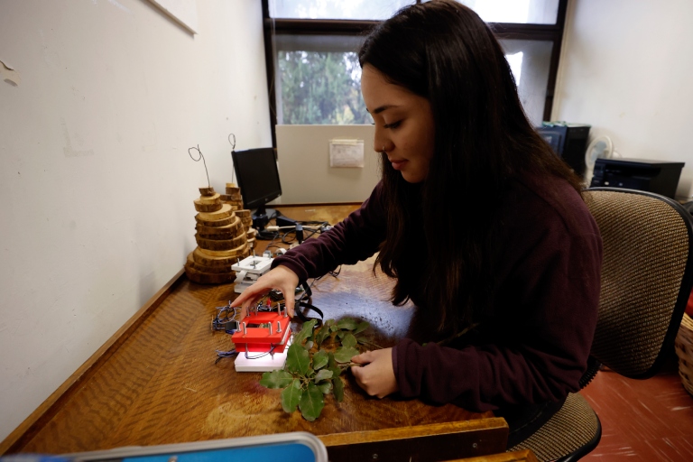 La investigadora Paula Basualto durante los ensayos de laboratorio.