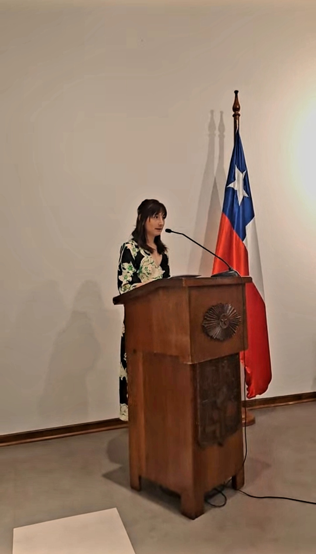 La académica Pilar Barría durante su discurso. 