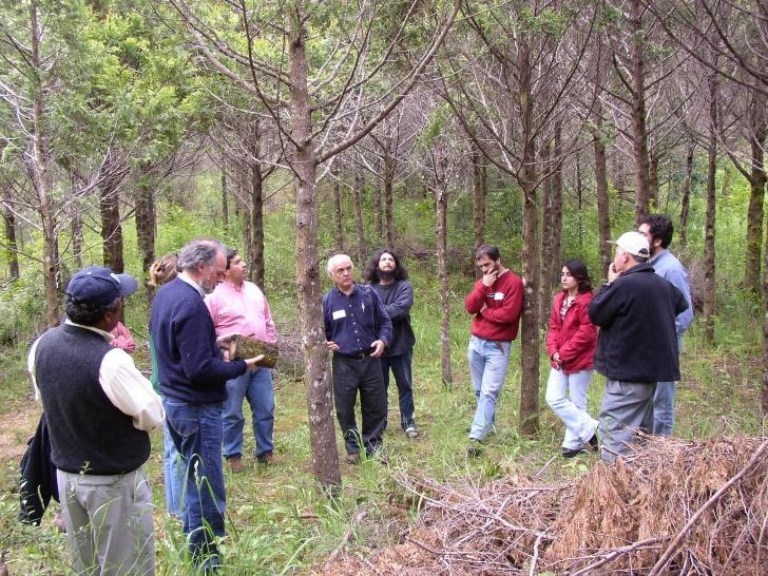 Claudio Donoso Zegers (al centro), fue uno de los fundadores de la Agrupación de Ingenieros Forestales por el Bosque Nativo en 1993. 